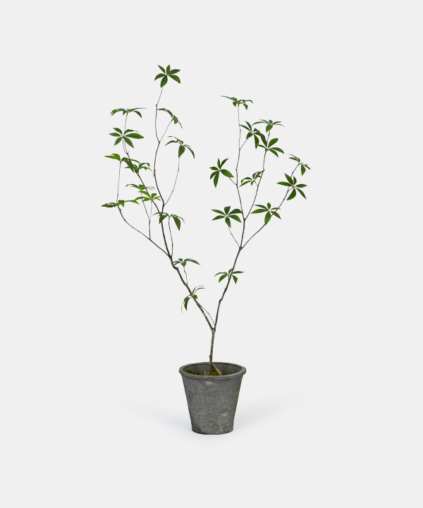 조화화분.21541