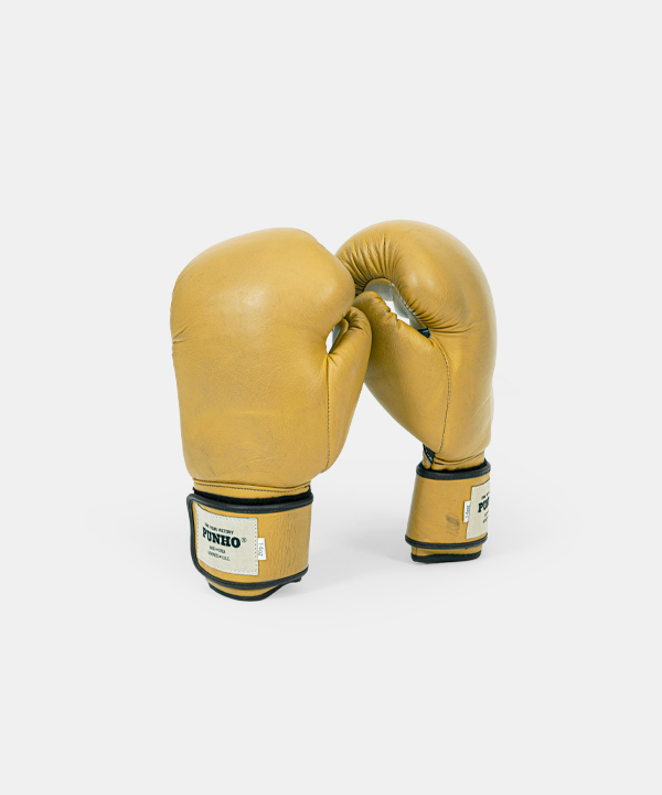 권투글러브.21679